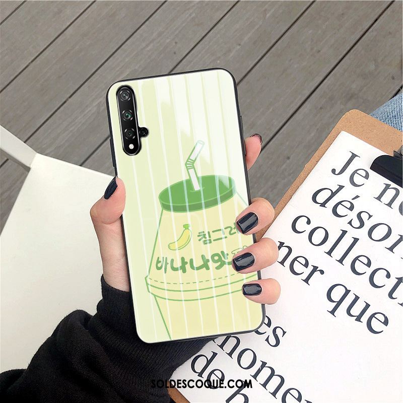 Coque Huawei Nova 5t Étui Protection Téléphone Portable Incassable Bovins France