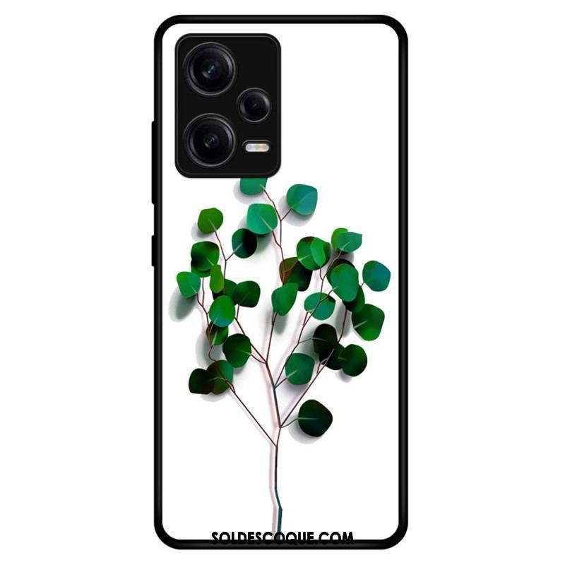 Coque Xiaomi Redmi Note 12 Pro Verre Trempé Végétale