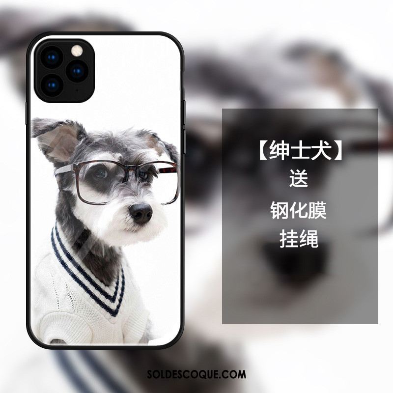 Coque iPhone 11 Pro Mode Simple Amoureux Tout Compris Blanc Pas Cher