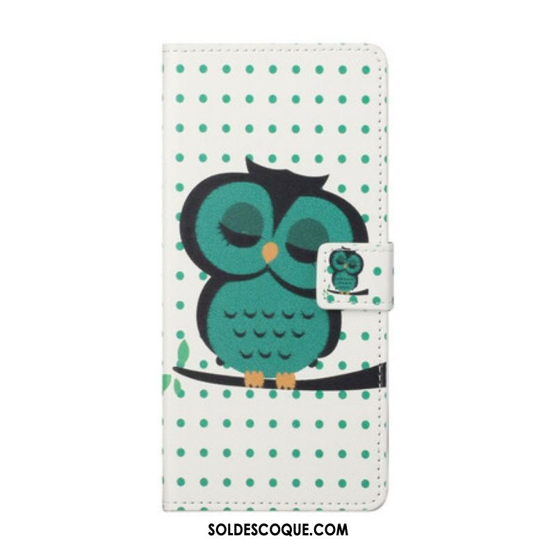 Housse Samsung Galaxy S21 FE Hibou Endormi